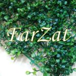 Covorase decorative - imagine 3