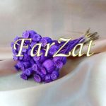 Flori uscate Maci - imagine 2