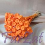 Flori uscate Maci - imagine 3