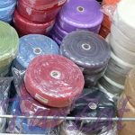 Rejansa colorata - 6 cm