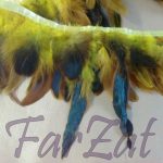 Banda pene de cocos cu fazan - mustar - imagine 2