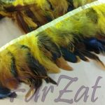 Banda pene de cocos cu fazan - mustar - imagine 3