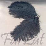 Pene decorative de strut - negru - imagine 2