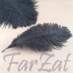 Pene decorative de strut - negru