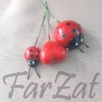 Buburuze si inimioare decorative