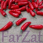 Legume artificiale - ardei iute - imagine 3