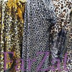 Catifea elastica - Model Animal Print