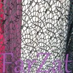 Dantela plasa - imagine 3