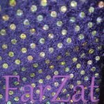 Catifea cu paiete - imagine 3