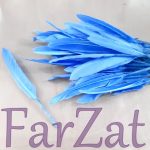 Pene decorative de porumbel - Bleu - imagine 2