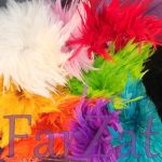 Ghirlanda cu pene de cocos