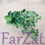 Buchetel iedera - imagine 2