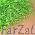 Banda pene strut - Verde fistic - imagine 4