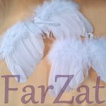 Aripi de ingeras - Cod 23 - imagine 2