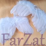 Aripi de ingeras - Cod 23