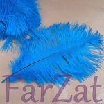 Pene decorative de strut